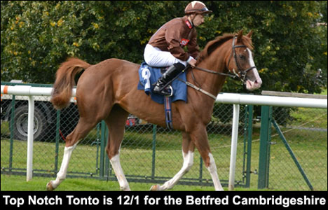 Top Notch Tonto is 12/1 for the Betfred Cambridgeshire