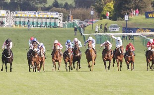 Ayr Gold Cup betting