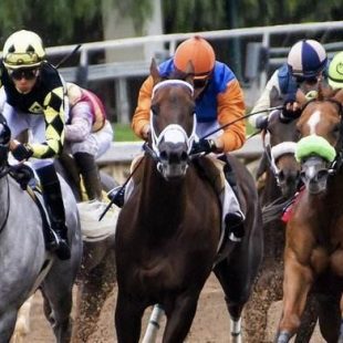 2020 Preakness Stakes Latest Betting Tips