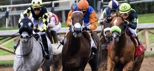 2020 Preakness Stakes Latest Betting Tips