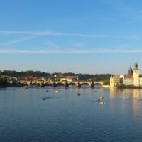 Profile picture of Richie