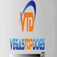 Profile picture of VegasTopDogs.com