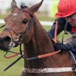 Profile picture of Darren